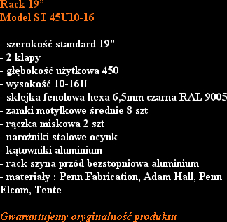 Rack 19”
Model ST 45U10-16

- szerokość standard 19”
- 2 klapy 
- głębokość użytkowa 450
- wysoko...