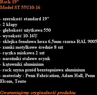 Rack 19”
Model ST 55U10-16

- szerokość standard 19”
- 2 klapy 
- głębokość użytkowa 550
- wysoko...